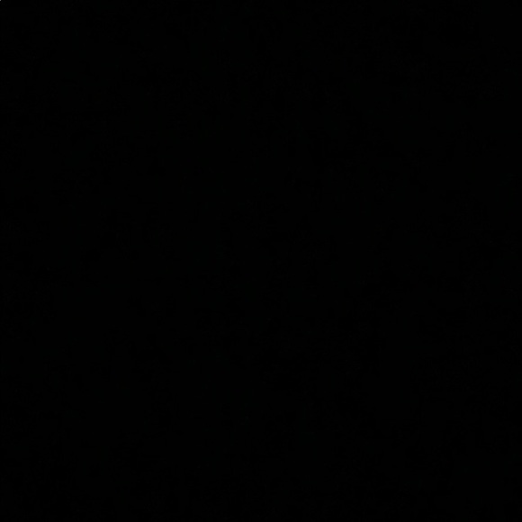 Meet your Posher, Noah - Picture 1 of 1